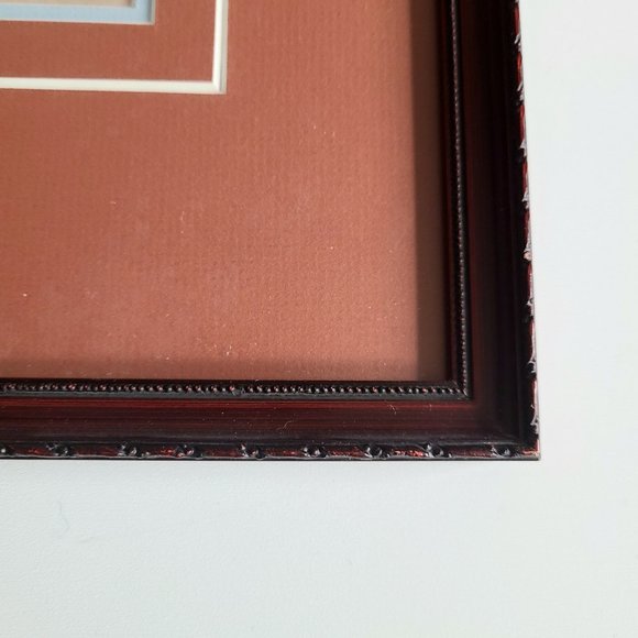 Vintage framed picture of bird. Sparrow Hawk. - Picture 4 of 6